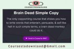 Nate Schmidt - Brain Dead Simple Copy 