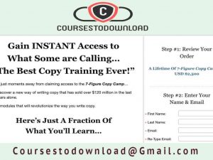 Vcevaldo Albuquerque (Agora) – 7 Figure Copy Camp 