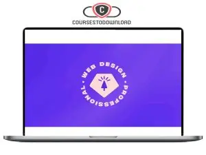 Ran Segall – Web Design-Becoming a Professional Download