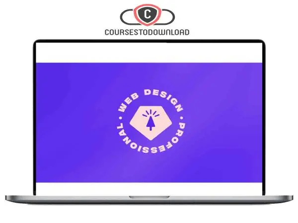 Ran Segall – Web Design-Becoming a Professional Download