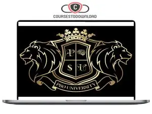 Philipe Reis – Youtuber Pro University Download