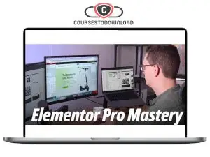 Livingwithpixels – Elementor Pro Mastery Download