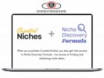 Niche Discovery Formula and Curated Niches List Download