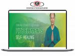 Chunyi Lin - Spring Forest Qigong Five Elements Self Download