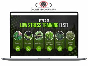 Low Stress Training - Low Stress Options Download