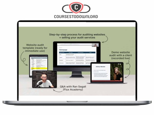 danbee shin website audit - Danbee Shin - Website Audit Masterclass