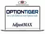 Option Tiger - Adjust Max Download